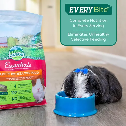 Miniatura 8 de Oxbow Essentials Alimento para Conejillo de Indias, Conejillo de Indias Adulto, Hecho con Heno Timothy de Oxbow, Pellets de Comida para Mascotas
