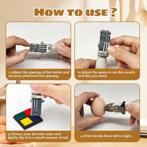 Miniatura 5 de Sellos de fecha de huevo para huevos frescos, con una almohadilla de tinta de cuatro colores, kit de fechador de huevos, sellos de rodillos
