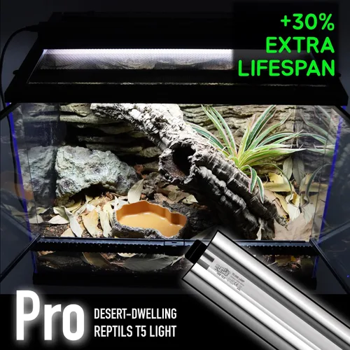 Miniatura 7 de Luz de reptil UVB T5 mejorada, 10.0 UVB 8 W, lámpara fluorescente y kit de accesorios, para reptiles que viven en el desierto, dragón barbudo