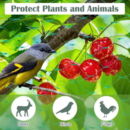 Miniatura 5 de Red de protección antipájaros de 13 pies x 33 pies, malla de protección para jardín, plantas y plantas, flores, árboles frutales, verduras de Verde