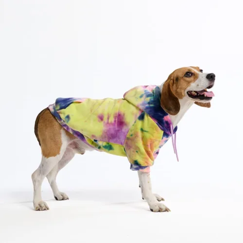 Miniatura 42 de Spark Paws Sudadera con capucha para perro, suéter de primera calidad para perros pequeños, medianos y grandes Trajes cálidos para bulldogs