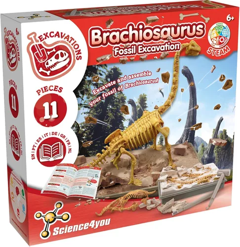 Miniatura 9 de Science4you T Rex - Kit de excavación de fósiles para niños, dinosaurios T Rex, excavar y ensamblar 10 piezas, kit de excavación para niños +