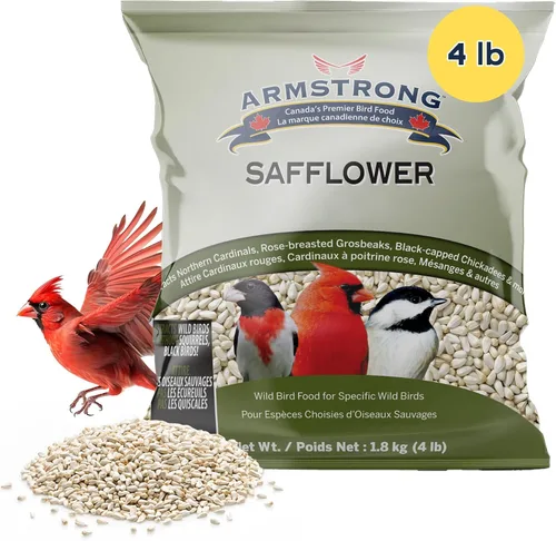 Armstrong - Comida para pájaros silvestres, semillas de cártamo, 4 libras, para cardenales del norte, picos de pecho rosa y gallineros con tapa