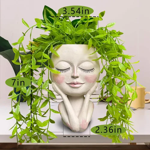 Miniatura 5 de Macetas Cara de Plantas en Forma de Cabeza - Lindas Macetas para Suculentas, Macetas para Plantas de Interior con Sistema de Drenaje, Regalos
