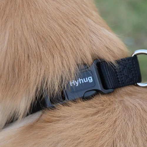 Miniatura 7 de Hyhug Pets - Collar clásico para perros de la colección regular de color sólido (S, negro)
