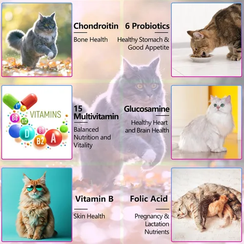 Miniatura 8 de Multivitamínico para gatos, 15 en 1, vitaminas para gatos, suplementos líquidos para la salud del corazón, huesos, articulaciones, piel y pelaje