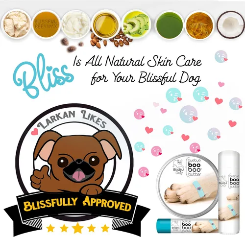 Miniatura 8 de The Blissful Dog Mantequilla Boo Boo para las molestias de tu perro, 2 onzas