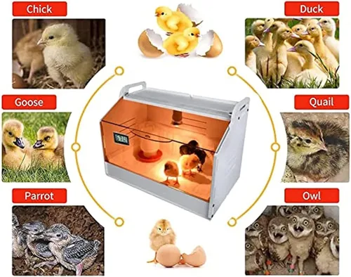 Miniatura 2 de Caja caliente inteligente para criar pollitos, para mantener el calor, 10-30 pollitos y animales pequeños, calentador manual de incubadora