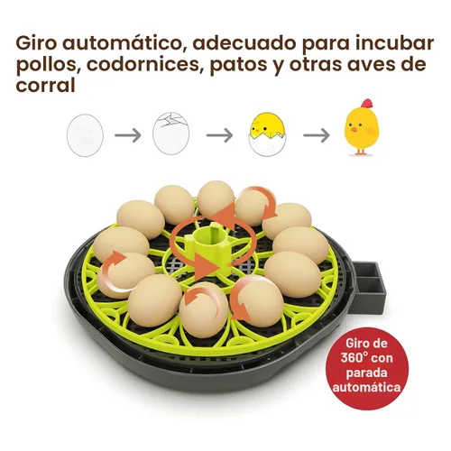 Miniatura 3 de Incubadoras para incubar huevos incubadora de 12 huevos con giro automático de huevos y control de humedad, vela de huevo, reposición automática