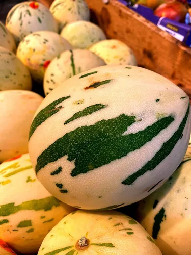 Miniatura 9 de Semillas de melón para plantar (10 semillas) - Cultiva tu propio alimento (Melón amargo negro)