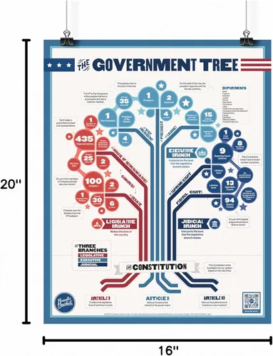 Miniatura 6 de El árbol del gobierno Póster de aula de 16 x 20 pulgadas Estudios sociales Historia de los Estados Unidos Ciudad Gobierno