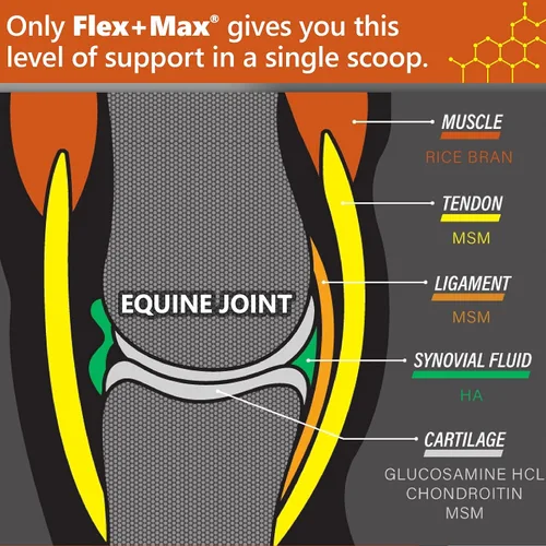 Miniatura 2 de Absorbine Flex+Max - Pellets de suplemento para articulaciones de caballo, altamente sabrosos, fórmula equina integral con glucosamina, MSM