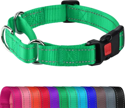 Miniatura 10 de Joytale - Collar martingale para perros, reflectante de alta resistencia para seguridad, hebilla de liberación rápida, collares ajustables de nailon