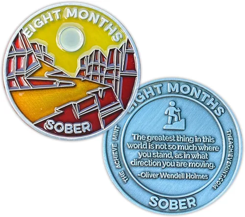 Ficha sobria de 8 meses | Chip sobrio de ocho meses | Regalo no AA, medallones no religiosos para hombres y mujeres que celebran la sobriedad
