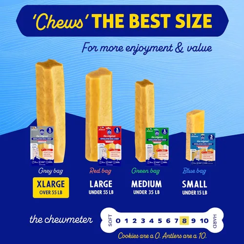Miniatura 5 de Himalayan Dog Chew - Masticables de queso de yak para perros - 100% naturales, sin gluten, lactosa o cereales, ricos en proteínas, con trocitos
