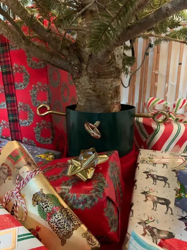 Miniatura 6 de Goliath Soporte de acero soldado para árbol de Navidad para árboles vivos de 5 a 12 pies