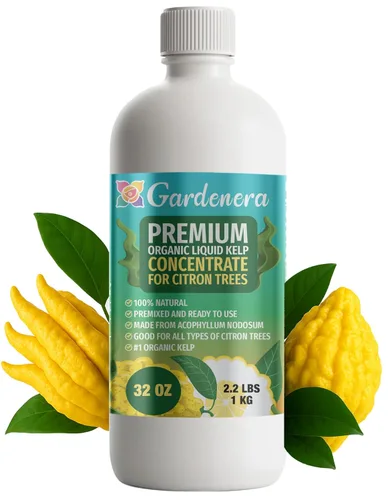 Miniatura 15 de GARDENERA Superalimento orgánico prémium de algas marinas y algas marinas para plantas AGLAONEMA, 8 onzas, concentrado de fertilizante líquido