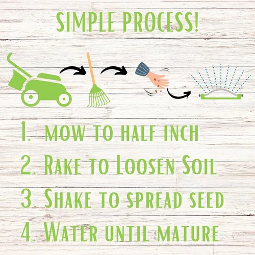 Miniatura 7 de Flawn Seed Kits Semilla de micro trébol, 2.2 onzas, recubierto orgánico, ecológico, bajo crecimiento, bajo mantenimiento, alternativa al césped