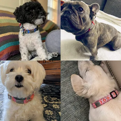 Miniatura 5 de Etiqueta de perro personalizada y personalizada para mascotas, sin ruido, etiqueta de nombre grabada, etiquetas de identificación deslizables