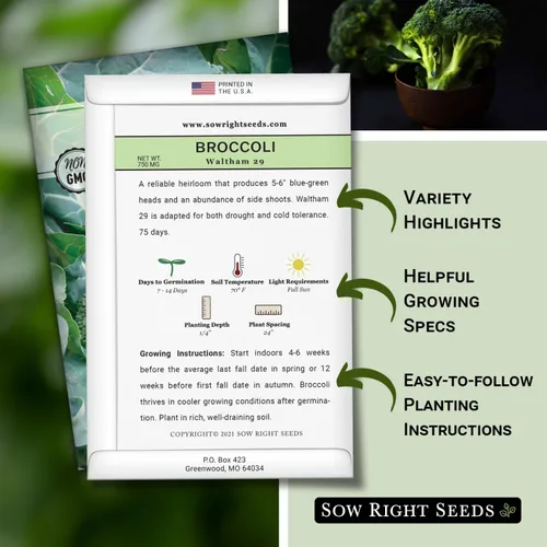 Miniatura 2 de Sow Right Seeds - Waltham 29 semillas de brócoli para plantar - Paquete de reliquia sin OMG con instrucciones para plantar un huerto en el hogar al