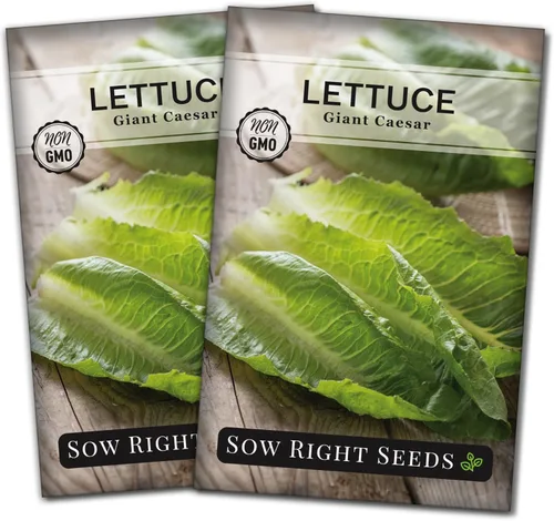Miniatura 7 de Sow Right Seeds - Semillas de lechuga gigante Caesar para plantar - Paquete de reliquia no transgénica de polinización abierta con instrucciones