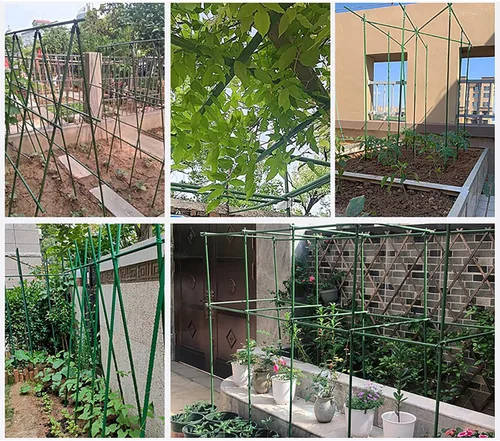 Miniatura 7 de 20 estacas para plantas de jardín, palitos de tomate para pepino, jaula de tomate en maceta, soporte de plantas, estacas de jardín montadas, D