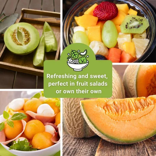 Miniatura 6 de Sow Right Seeds - Colección de semillas de frutas de melón para plantar - Paquetes individuales Honey Rock, Hales Best y Honeydew Melon - Semillas