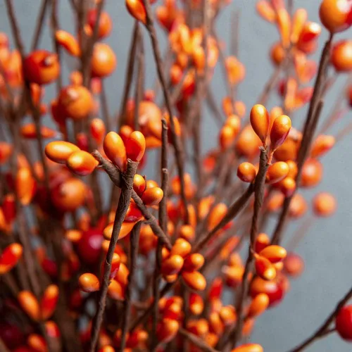 Miniatura 4 de JINGHONG Paquete de 6 tallos de bayas de otoño de 43 cm de alto, púas de bayas naranjas artificiales, púas florales artificiales para jarrones, Baya