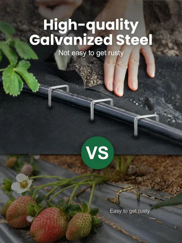 Miniatura 5 de GROWNEER Paquete de 100 grapas de jardín de 12 pulgadas, calibre 11, resistentes estacas de jardín de acero galvanizado en forma de U, estacas