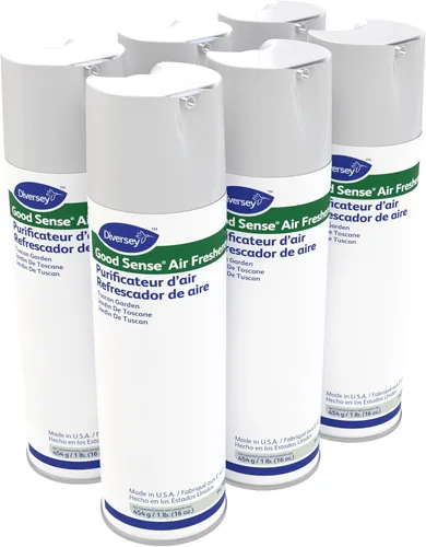 Diversey 100949179 Good Sense - Ambientador en aerosol, espray neturalizador de olores de acción rápida, neutralizador de olores, aroma de jardín