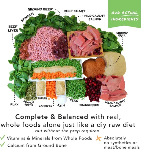 Miniatura 4 de Simple Food Project - Receta de carne de res y salmón - Alimentos crudos liofilizados para perros - 24oz