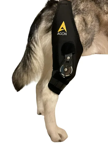 AGON Rodillera para perros – Rodillera profesional para perros con estabilizador de bisagra ajustable – Rodillera de neopreno premium para soporte
