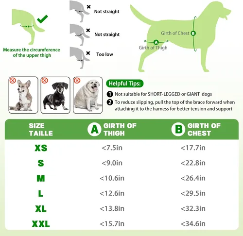 Miniatura 7 de Rodillera para perro para pierna trasera desgarrada, ajustable para pierna trasera con 6 estabilizadores, reduce el dolor, lesiones de ligamentos