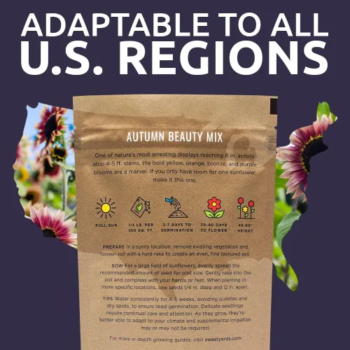 Miniatura 7 de Autumn Beauty Semillas de girasol – Bolsa a granel de 1/4 de libra – Más de 5,000 semillas de flores silvestres polinizadas abiertas sin OMG