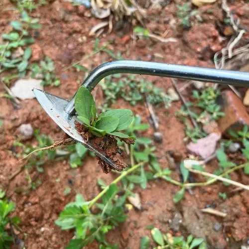 Miniatura 7 de VIGAN 1 Uds. Multifuncional Jardín Weeders Hierba Rooting Suelo Suelto Eliminación de Deshierbe de mano Extractor de Deshierbe Acero Inoxidable