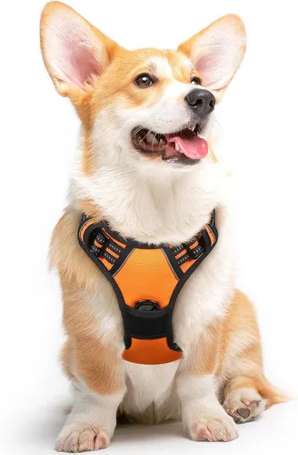 Miniatura 16 de Eagloo Arnés para perro pequeño, sin tirones, chaleco de servicio con tiras reflectantes y asa de control, ajustable y cómodo para caminar, arnés