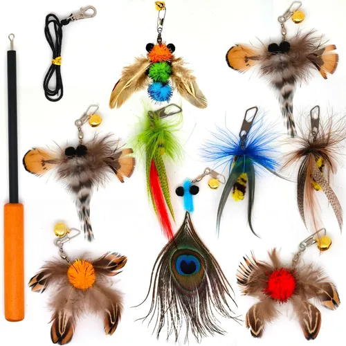 miwoowim Juguetes interactivos para gatos, 10 piezas de juguetes retráctiles para gatos y juguetes de plumas, juguetes de enriquecimiento para gatos