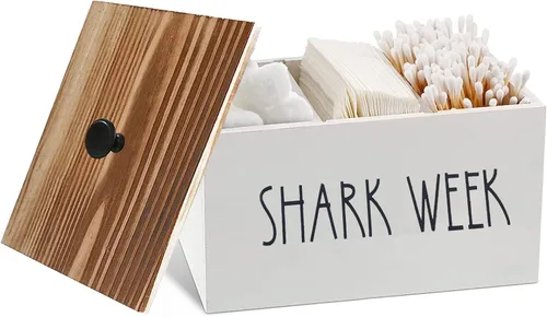 Soporte para tampón para baño, contenedor de almacenamiento de madera rústica con tapa, organizador de productos femeninos con partición móvil,