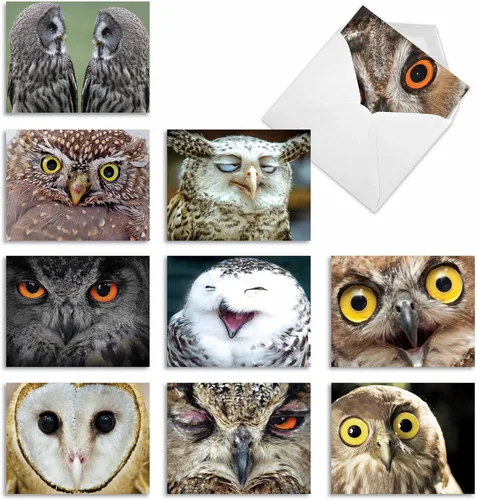 Miniatura 8 de The Best Card Company - Juego de 10 tarjetas de agradecimiento con sobres de 4 x 5.12 pulgadas, gratitud animal emplumada - Pájaros bohemios M2319