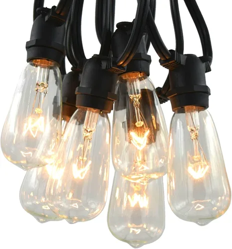 Hometown Evolution, Inc. Cadena de luces Edison vintage de grado comercial para exteriores (ST40 transparente, cable negro comercial, 25 pies)