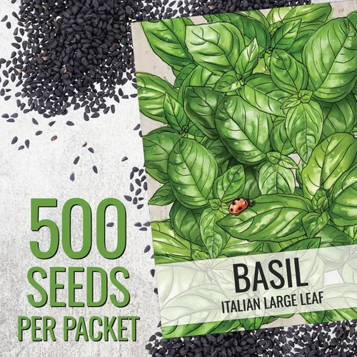 Miniatura 3 de Seed Needs Semillas de albahaca para plantar hierbas italianas de hojas grandes, reliquia sin OMG y sin tratar, cultiva un jardín de hierbas