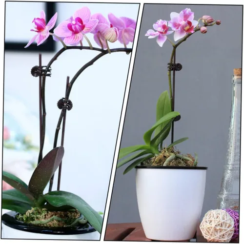 Miniatura 3 de 150 clips de orquídea de jardín, prácticos clips de soporte para plantas para asegurar tallos y enredaderas, protegen las orquídeas de daños por