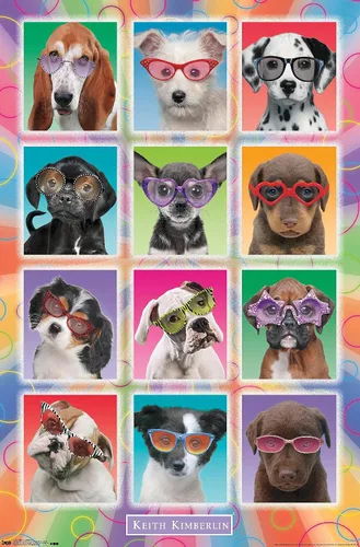 Miniatura 11 de Trends International Keith Kimberlin - Póster de pared con diseño de cachorros, gafas de sol, 14.725 x 22.375 pulgadas, versión enmarcada de madera