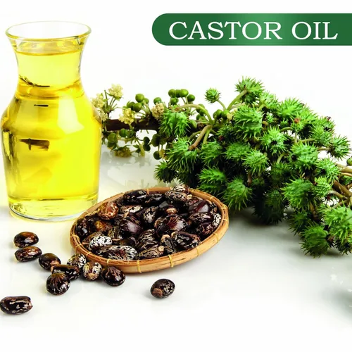 Miniatura 4 de Aceite de Ricino y Castor Orgánico Puro para Crecimiento del Cabello, Pestañas, Cejas y Vello de Mujeres y Hombres - 2.0 fl oz/2.0 Fl Oz 1 Botella