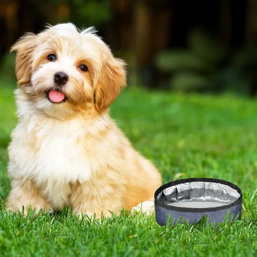 Miniatura 5 de Meanplan Paquete de 2 tazones portátiles plegables para perros, plato portátil de viaje para cachorros, cuenco de agua y comida para mascotas