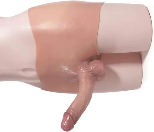 Consolador de silicona bragas de 6 a 7 pulgadas, juguetes sexuales realistas para gays lesbianas hombres mujeres masturbación