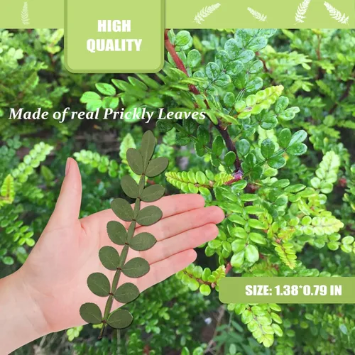 Miniatura 2 de Hojas secas prensadas naturales para resina, 42 piezas de hojas espinosas secas reales para arte de resina, manualidades, tarjetas, álbumes