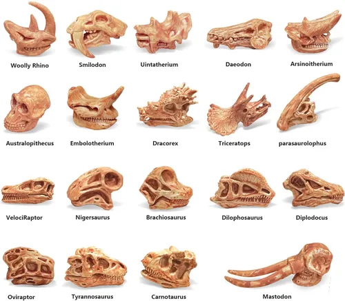 Miniatura 2 de Juego de 19 piezas de mini calavera de mamífero, huesos de dinosaurio realistas, animales prehistóricos, cabeza y esqueleto, colección Daeodon