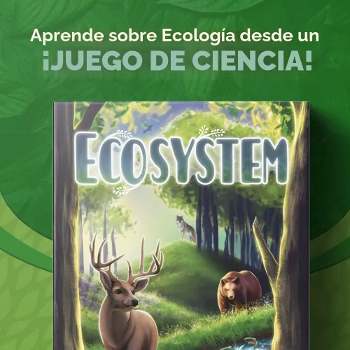 Miniatura 3 de Ecosistema - Un juego de cartas familiar sobre la construcción de hábitats ¡Aprende sobre animales, ecología y biodiversidad para niños, adultos
