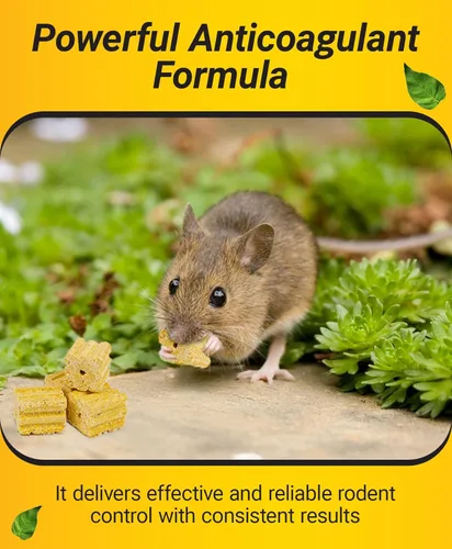 Miniatura 2 de Kaput Bloques para Ratones, Cebo para Roedores para Ratones y Ratas, Veneno para Topos Warfarina para Uso en Interiores/Perímetro, Mata Roedores